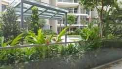 Seventy Saint Patrick's (D15), Condominium #139449902